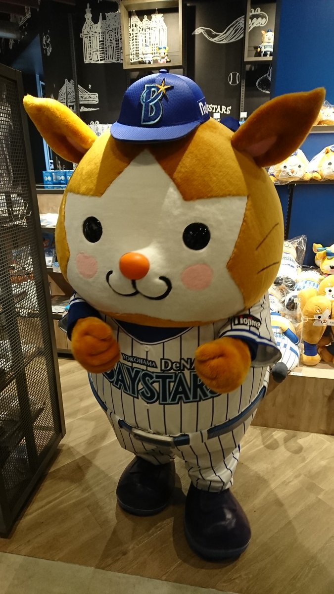 スターマン たぬきじゃない