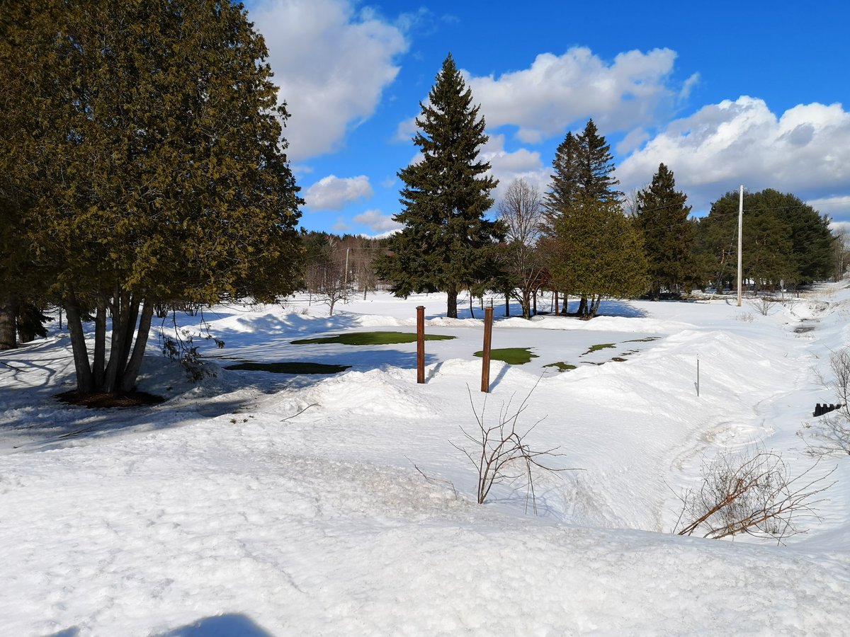 Grass on greens beginning to show after having blown and scraped down to the ice layer! Bring on spring :)