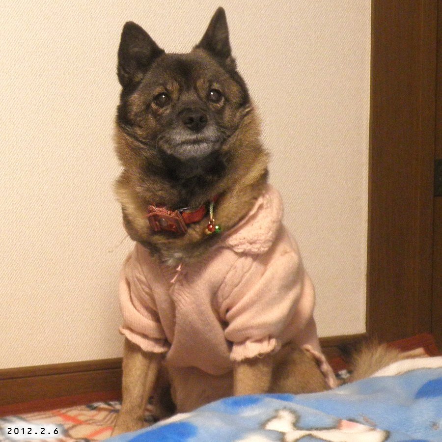 8P_KMOR's tweet photo. 2012.2.6 https://t.co/ctDxRqYMT3