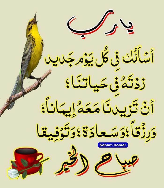 SMatloop's tweet photo. صباح الخير يا احبتي https://t.co/qzCVle7lDW