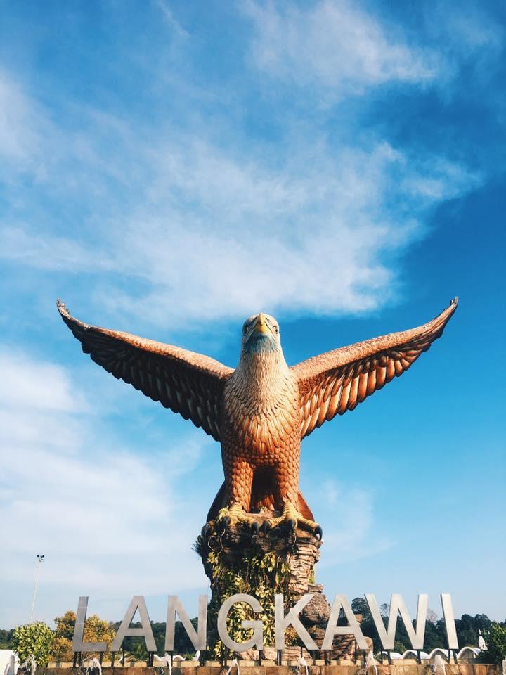 7800 Gambar Burung Langkawi HD Terbaik