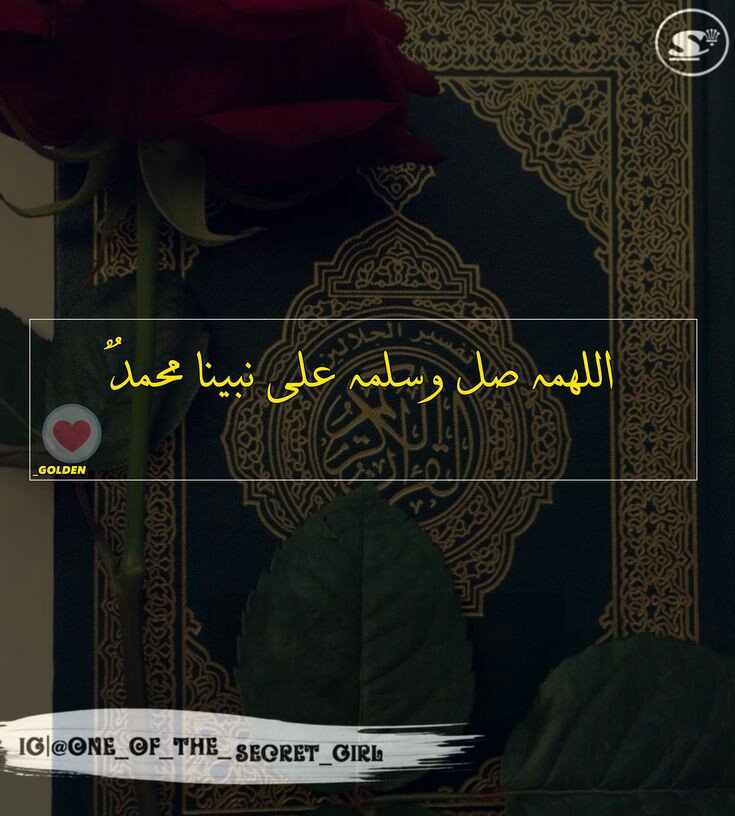 HARQ09877263's tweet image. السلام و علیکم
صبح بخیر

#HARQ#