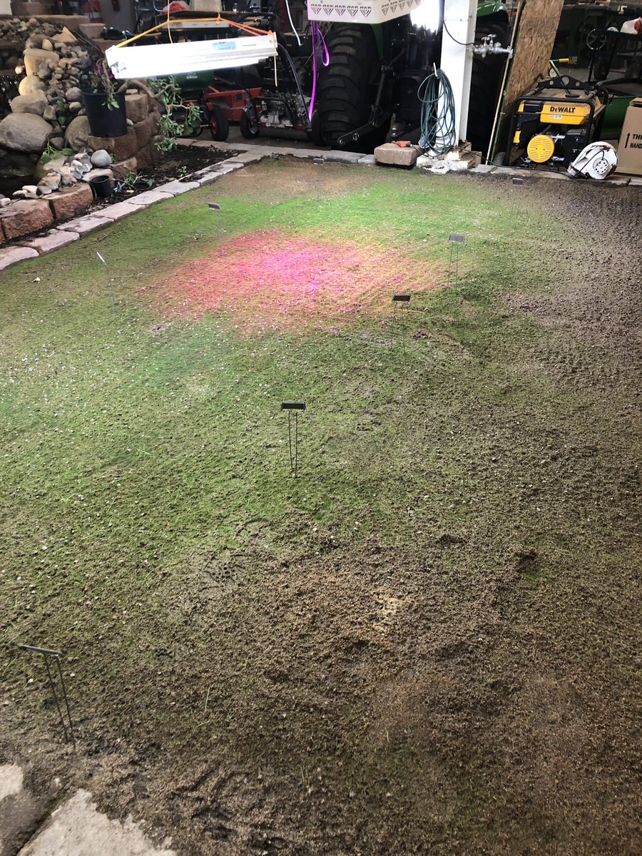 TimHoag3's tweet image. Starting to get some germination on our test plots for our turf grass species class a lot of moss due to wet soil conditions but we are still growing grass @mmurfscc #turfstudents #AnokaTech