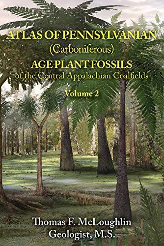 free Metaphysics of