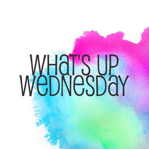 Missy Pasco (@missy_pasco) on Twitter photo Hey <a href="/ImmaculataOCSB/">Immaculata High School</a> ! If you could help me spread the word, I have to cancel this week’s practices. If you see dancers, please inform them that NO PRACTICES will be held this week. Our first MANDATORY meeting will be Tuesday for high school dancers and Wednesday for 7/8’s. Hey <a href="/ImmaculataOCSB/">Immaculata High School</a> ! If you could help me spread the word, I have to cancel this week’s practices. If you see dancers, please inform them that NO PRACTICES will be held this week. Our first MANDATORY meeting will be Tuesday for high school dancers and Wednesday for 7/8’s.
