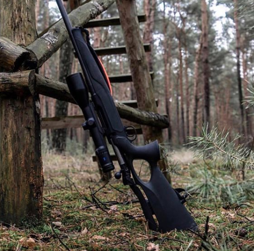 Sauer_USA's tweet photo. #huntingessentials

PC: @alba_armeria_
#sauer404 #sauer404xt #sauerusa #huntinggear #huntingpic #sauerrifles https://t.co/jpfNSFXPOX