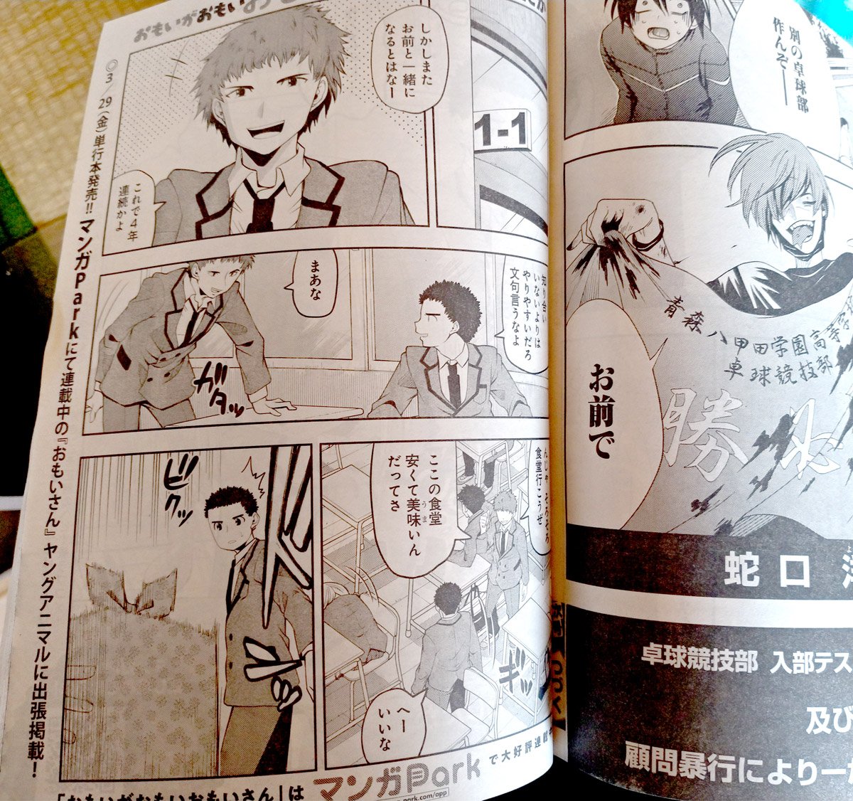明後日発売のヤングアニマルに、おもいさん出張掲載されます。急な掲載決定だったみたいで目次に載ってないのでお知らせ。