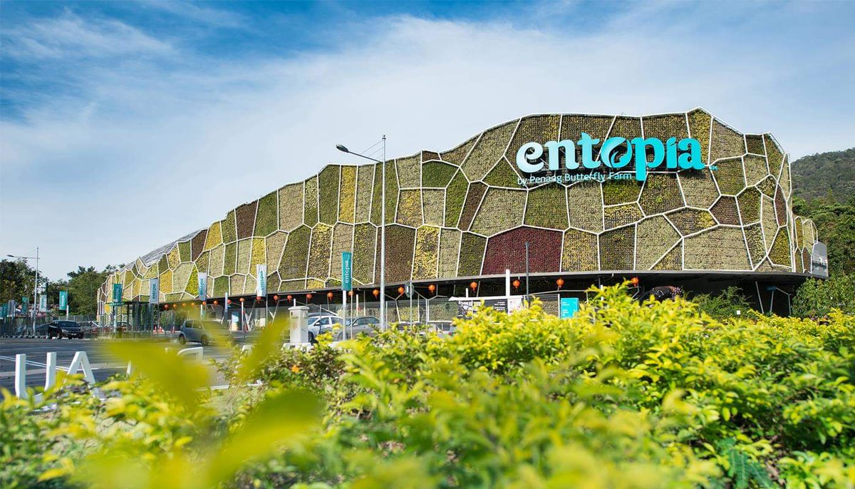 KintaMiles's tweet photo. Entopia, a journey into a magical paradise that honours the unsung heroes of our natural world with plenty to discover from outdoor adventures to cavernous mysteries and a multi-storey Indoor Discovery Centre. https://t.co/vaMIgZlgbW
