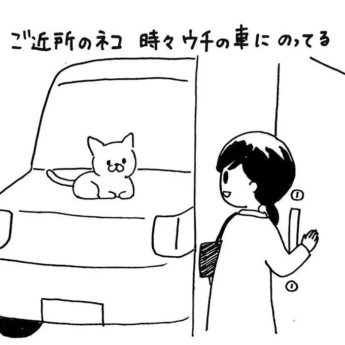 近所に放し飼いの猫がいる。塀の隙間から顔のぞかせたり、向かいの屋根からこちらを見てたり自由な感じがいい。 