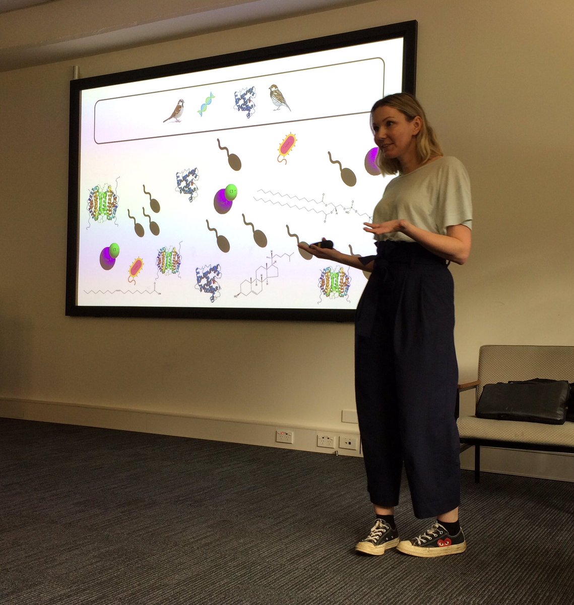 LLHurleybird's tweet photo. Thanks to @melissah_rowe for talking about her exciting work on #sparrow seminal fluid proteome to .@MQBiology today #teambird #teamsperm #birds #science https://t.co/BG9HJnCtBU