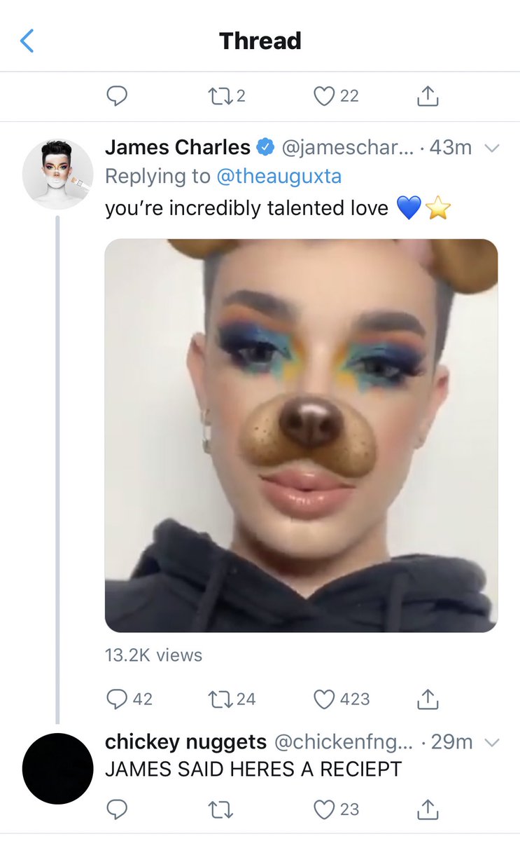 dropthedramapod's tweet photo. James Charles has been accused of stealing makeup looks, and also editing them onto his eyes. James replied to this accusation with a video of him with the full makeup look on. https://t.co/3XwyTpXCvw