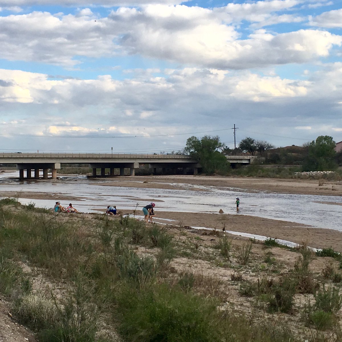 mtbogan's tweet photo. It fills my heart with joy to see Tucsonans playing in their local ephemeral river #Rillito #Tucson https://t.co/Amxp2mOL1H