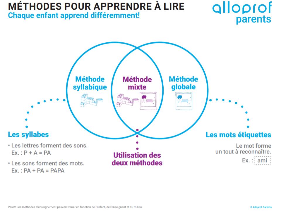 Beau schéma des voies de la #lecture! La méthode globale, ou celle d'adressage, consiste à repérer visuellement le mot, ce qui est un processus rapide. La méthode syllabique, celle d'assemblage, analyse toutes les correspondances graphème-phonème afin de décoder le mot. #DidAdapt