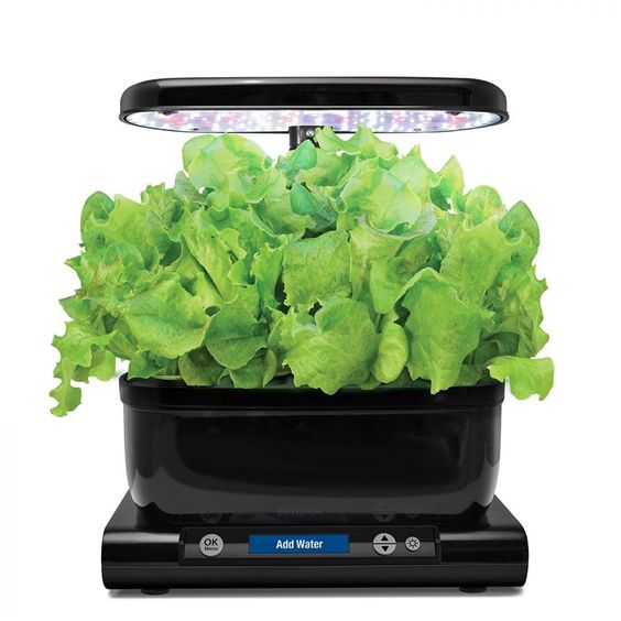baratasboost's tweet photo. Environmental sustainability and healthy lifestyle are interconnected as you cannot stay sound without making sure that the environment is safe Read more!
#AeroGarden #aerogarden #apartmentgardening #hydroponics #gardening #eatorganic #bokchoy #bokchoi #garden #indoorgardening https://t.co/2GYnxRAiZJ