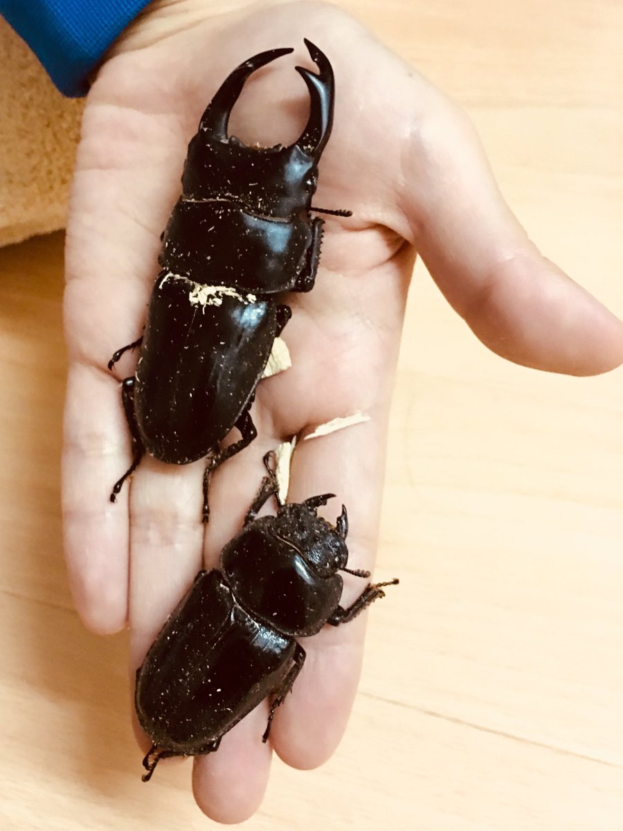 世間一般の話題に関係なくtwitterはここ最近ずっと水を吐くフグばっかりで大好きだぞ 水を吐くフグの作品たち いらすとやさん仕事はやい 2ページ目 Togetter 世間一般の話題に関係なくtwitterはここ最近ずっと水を吐くフグばっかりで大好きだぞ 水を吐くフグの作品たち いらすとやさん仕事はやい 2ページ目 Togetter