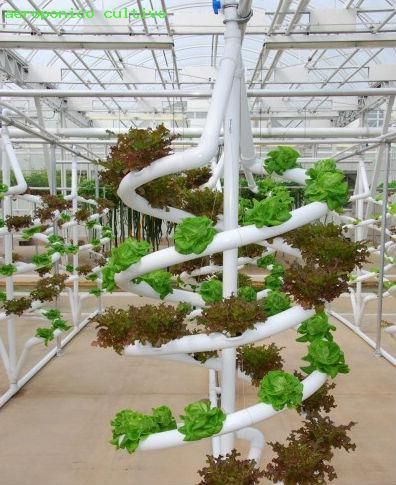 baratasboost's tweet photo. Environmental sustainability and healthy lifestyle are interconnected as you cannot stay sound without making sure that the environment is safe Read more!
#AeroGarden #aerogarden #apartmentgardening #hydroponics #gardening #eatorganic #bokchoy #bokchoi #garden #indoorgardening https://t.co/qxf3hBoaMU