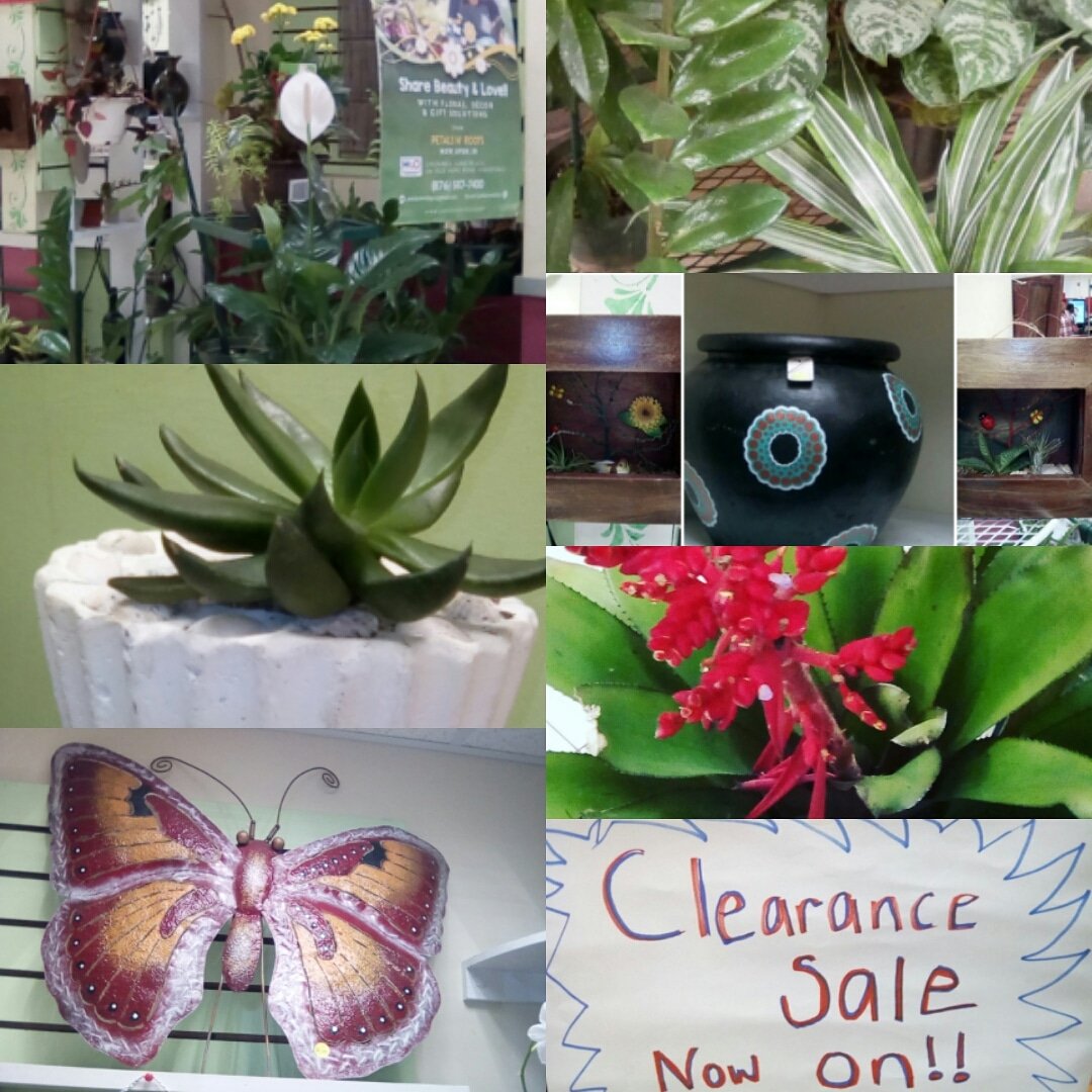 RootsJa's tweet photo. Everything is marked down as we get ready for changing our business model. Sale on until March 30! https://t.co/Wc4JKAFDS2