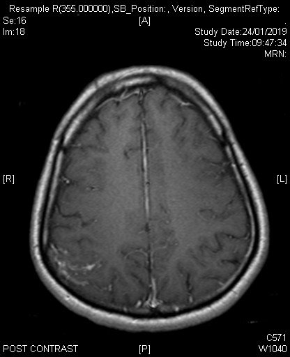 Metaphysische Probleme der Medizin: Ein Beitrag