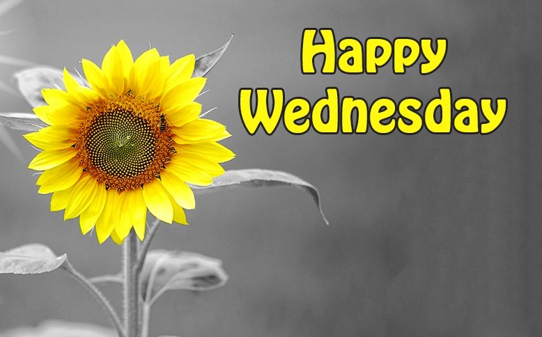 Wishing all a happy Wednesday.