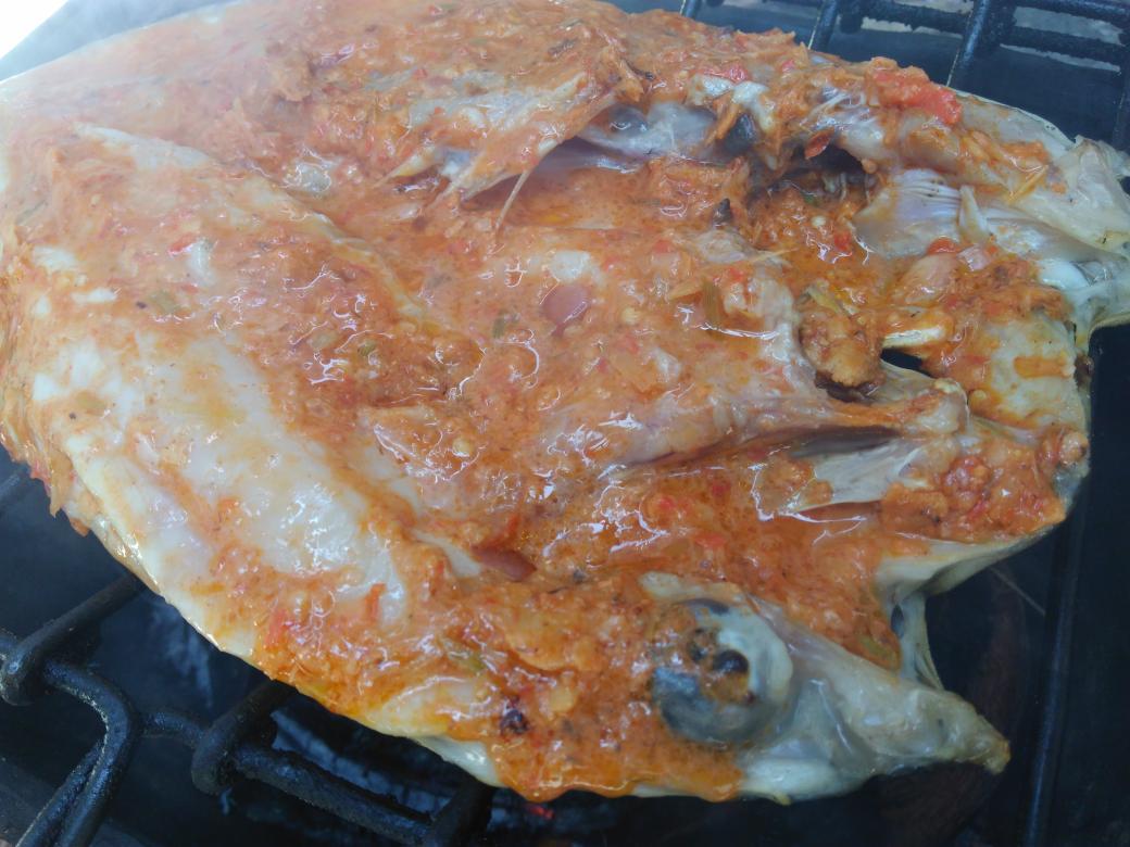 Mandar, Sulawesi Barat, surganya kuliner ikan Segar, puluhan ton ikan diangkut setiap Hari ke daratan