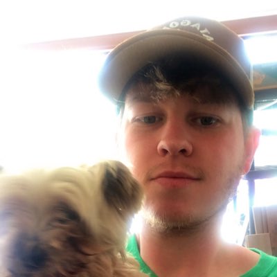 RyanHigh6's tweet photo. Found a Little dog #CanIKeepIt https://t.co/dGab86y7HA