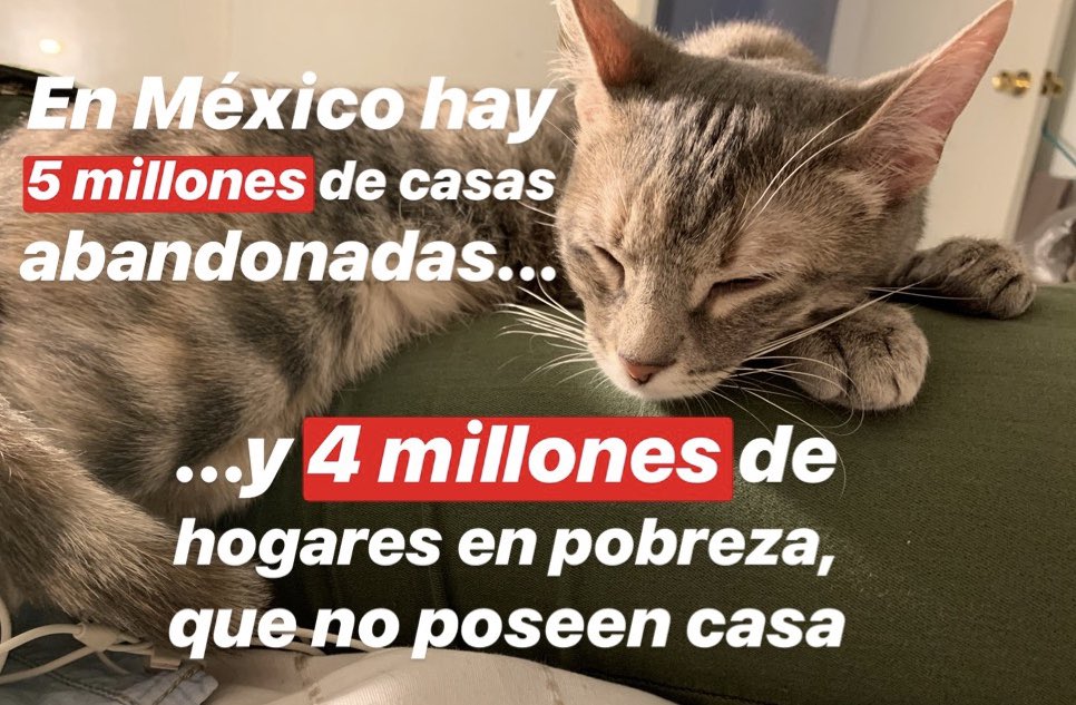 GatitosVsDesig's tweet photo. Miau. ¿Sabían que hay suficientes casas disponibles como para darle una a cada familia en pobreza que no es dueña de una finca? El problema es que estas casas se abandonaron porque fueron construidas con muy baja calidad, sin servicios y muchas otras problemáticas. https://t.co/jMoIExELKA