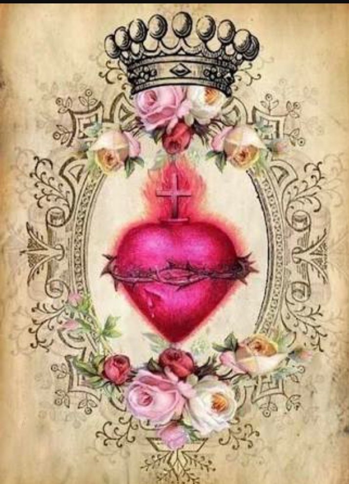 Narinha7's tweet photo. Imacilado coração https://t.co/vzc81Xocge