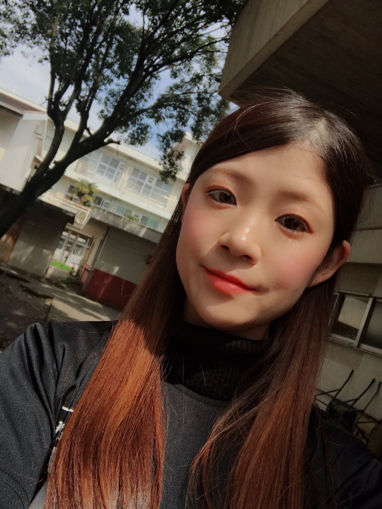 大分商業高校 Twitter Search Twitter