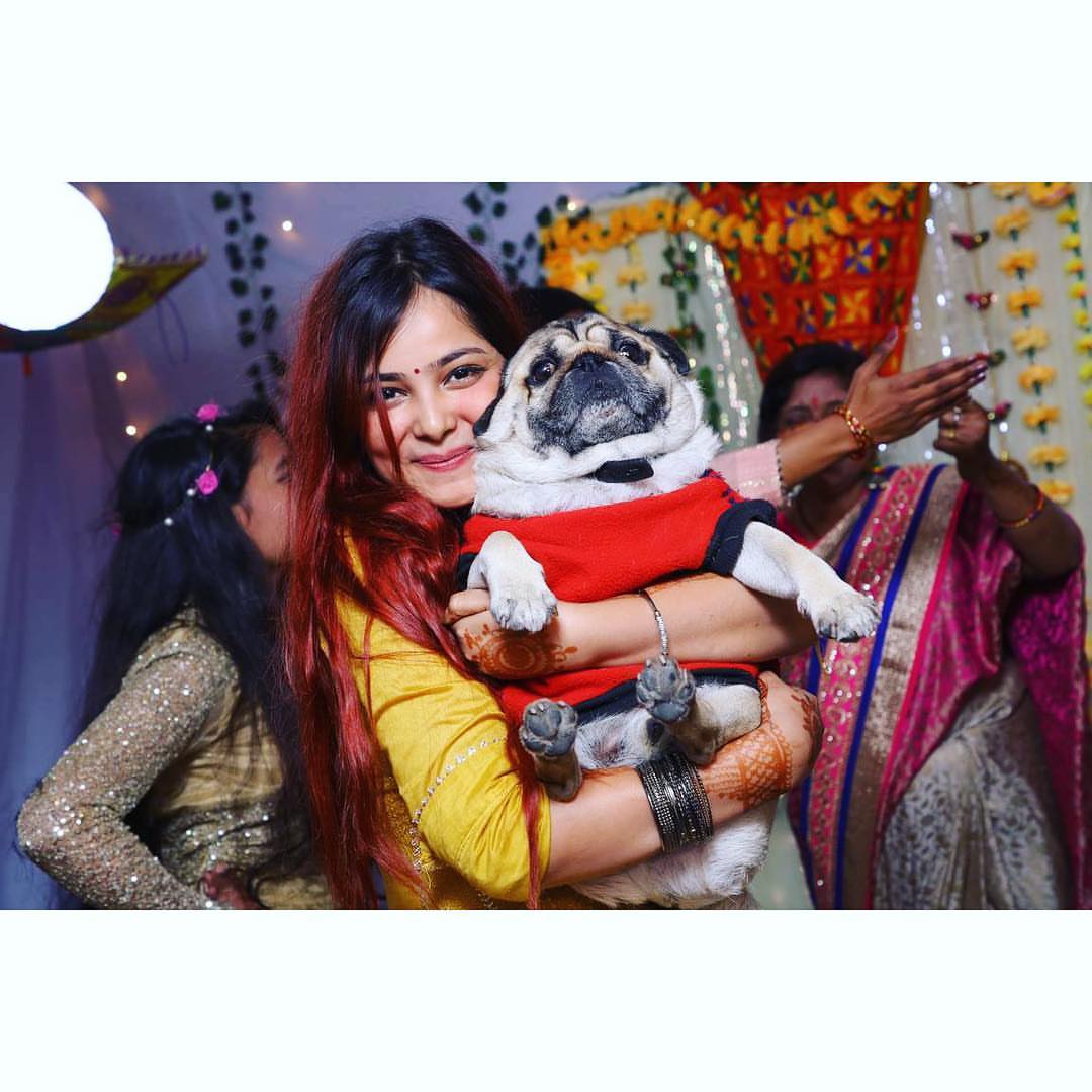 Shraddha Sharma tweet media