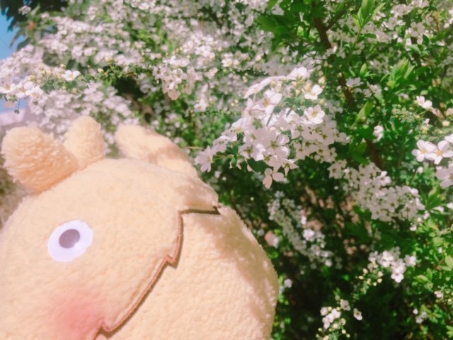 gloops_PR's tweet photo. 最近は快晴な日が続き、本日なんかは少し暑く感じるような天気ですね🤗

そんな明日は「春分」で、祝日ですね😻

https://t.co/UjAwRmbjeV https://t.co/LKvsiW5YVC