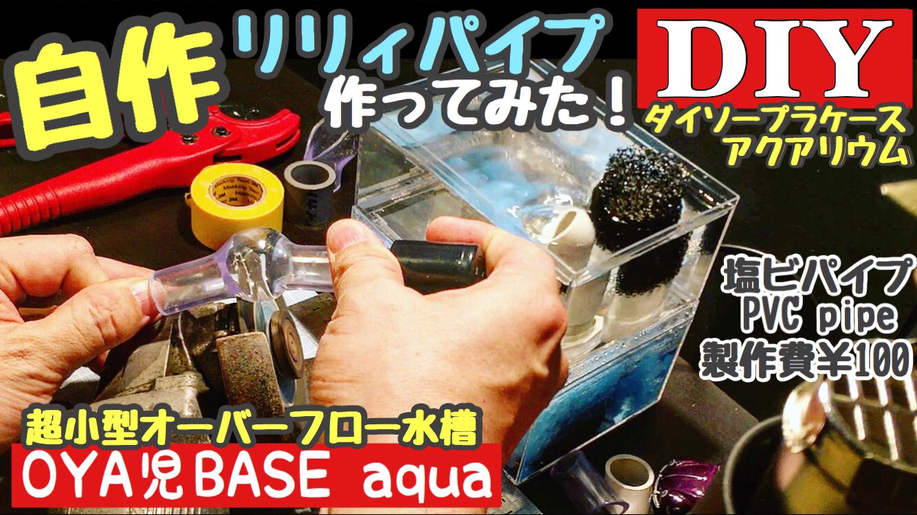 Oya児base Hide アクア100均diy 超小型of自作水槽 自作リリィパイプ作ってダイソープラケ水槽にセットしてみた 金魚 アピスト ベタ メダカ グッピー カラシン 稚魚育成 T Co Hctndphouv アクアリウム Aquarium 自作水槽 リリィ