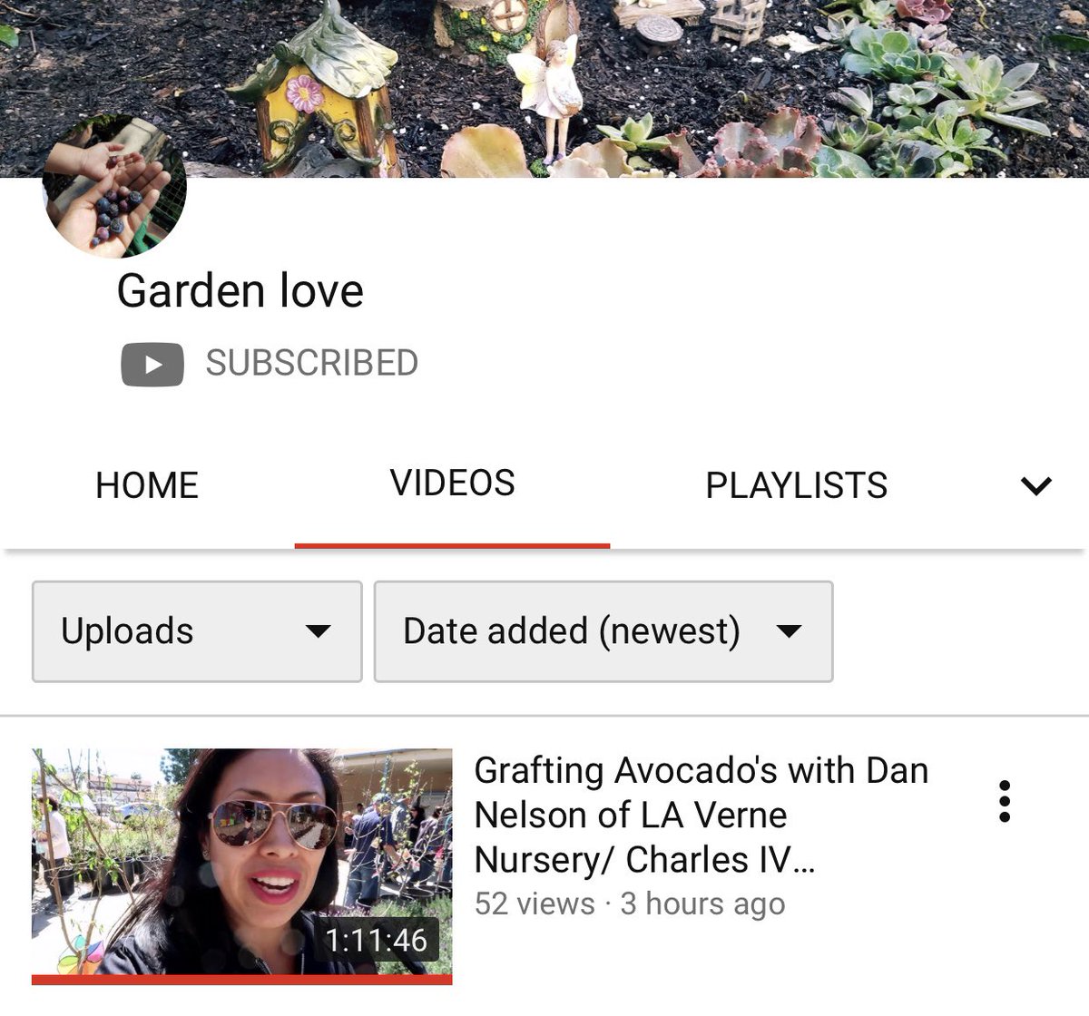 IV_Organics's tweet image. NEW YouTube by GardenLove
Video Link 👇👇👇👇
youtu.be/LaP9ccPBSmI
#GardenLove #CRFG #IVOrganic