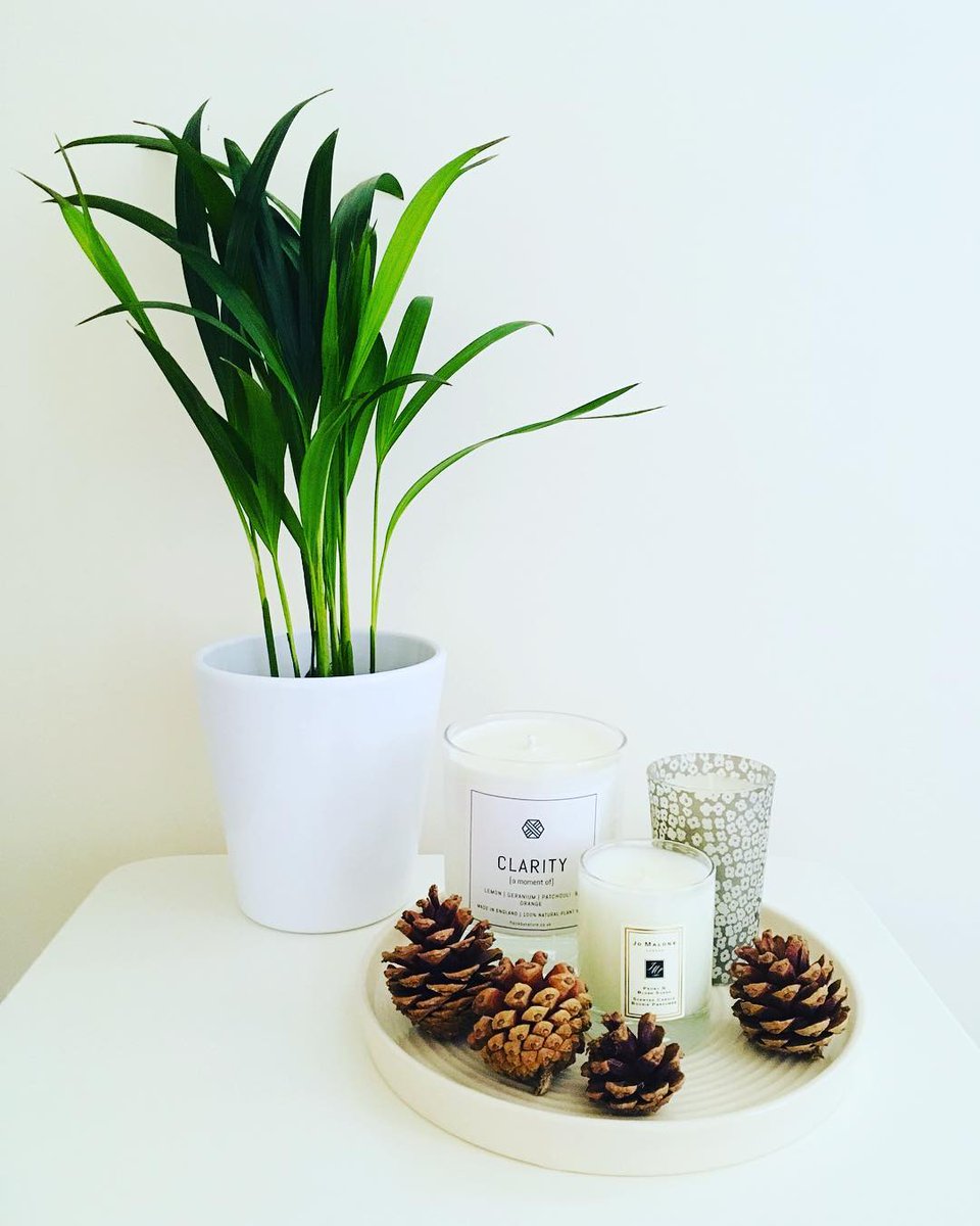 #repost @ethel_and_ernest
My name is Kate and I am addicted to candles!! I love them, is there such a thing as a candle addiction?? 😂

.

Lovely shot of our Clarity Candle! Shop here: flockbynature.co.uk/product/clarit…