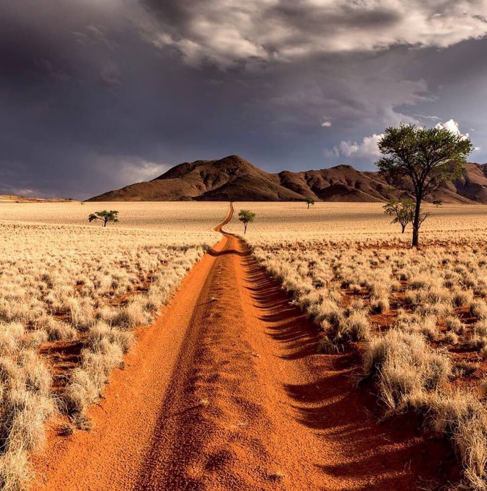 MattShiindi's tweet photo. Thread quick: Drop your fav pic of Namibia (landscape, people-traditional attires and/or culture) to celebrate Our Independence. For the love of the Land of the Brave. #IndependenceDayNamibia https://t.co/ejGxICpGWS
