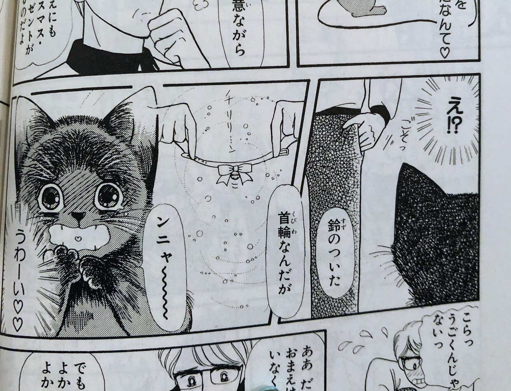 Yukiko Iyo Catlog キャトログ Amazoncm出演中 よき Catlog ねこねこ幻想曲 T Co 2kejpbixls Twitter Yukiko Iyo Catlog キャトログ Amazoncm出演中 よき Catlog ねこねこ幻想曲 T Co 2kejpbixls Twitter