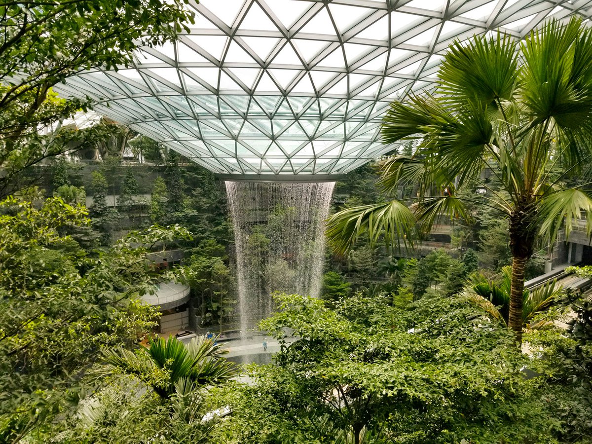 World's tallest indoor #waterfall inside Moshe Safdie's #Singapore #airport terminal#architecture #amazing #designer 
dezeen.com/2019/03/12/mos…