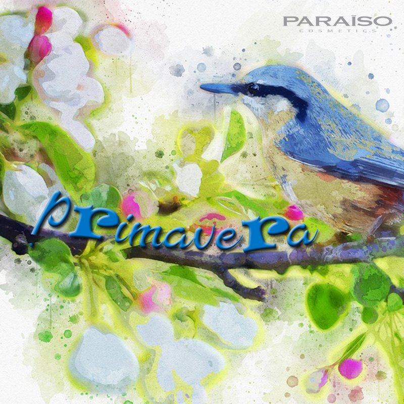 Damos la bienvenida a la Primavera! Déjate envolver... <a href="/PARAISOCOSMETI/">PARAISO COSMETICS</a> #Primavera #Primavera2019 #Díadelafelicidad #CosméticaProfesional #NaturalBeauty