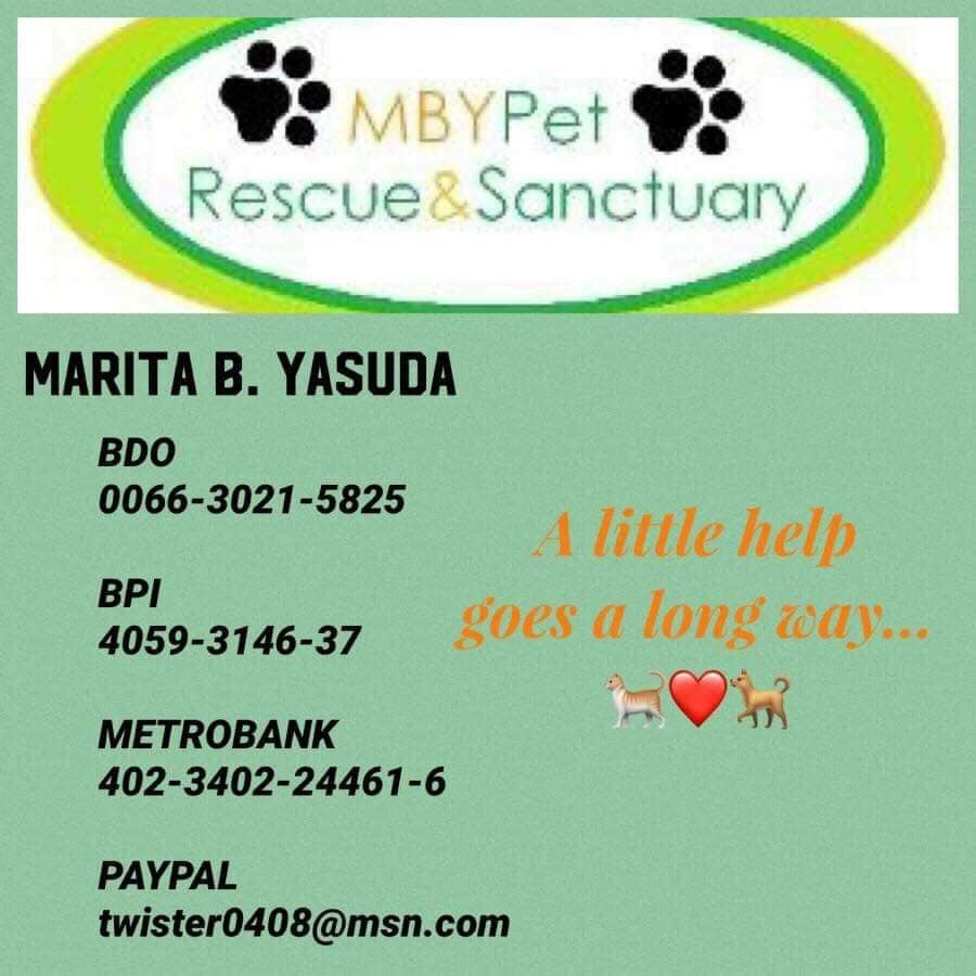 taal_animals's tweet photo. Did you know that the biggest pet sanctuary in the Philippines is MBY Pet Rescue and Sanctuary? They have hundreds of dogs and cats they rescue and take care of. If you can please visit their FB Page and even better if you can donate. These fur babies need our help! #petloversph https://t.co/5G6QiQdOFk