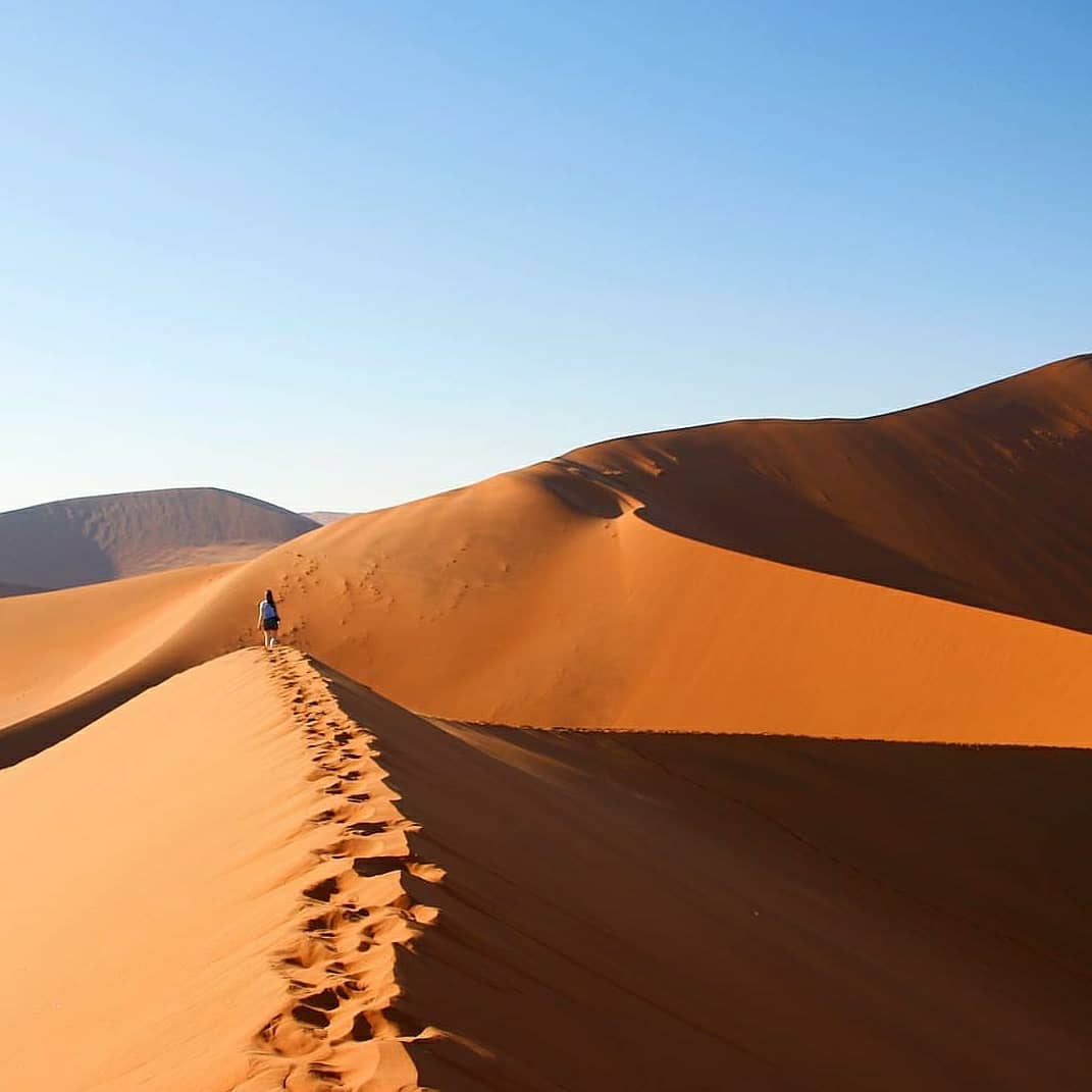 travelanders's tweet photo. Happy Independence Day to our beloved country, Namibiaย ๐ณ๐ฆ! A place like home! ๐๐ #SecretNamibia #SeeNamibia #Flyairnamibia #AirNamibia #FeedYourWanderlust #flyairnamibiaonly @SkyLinkNamibia @airnamibia1 @NamibiaHorizons https://t.co/pVOtbYvJ9d