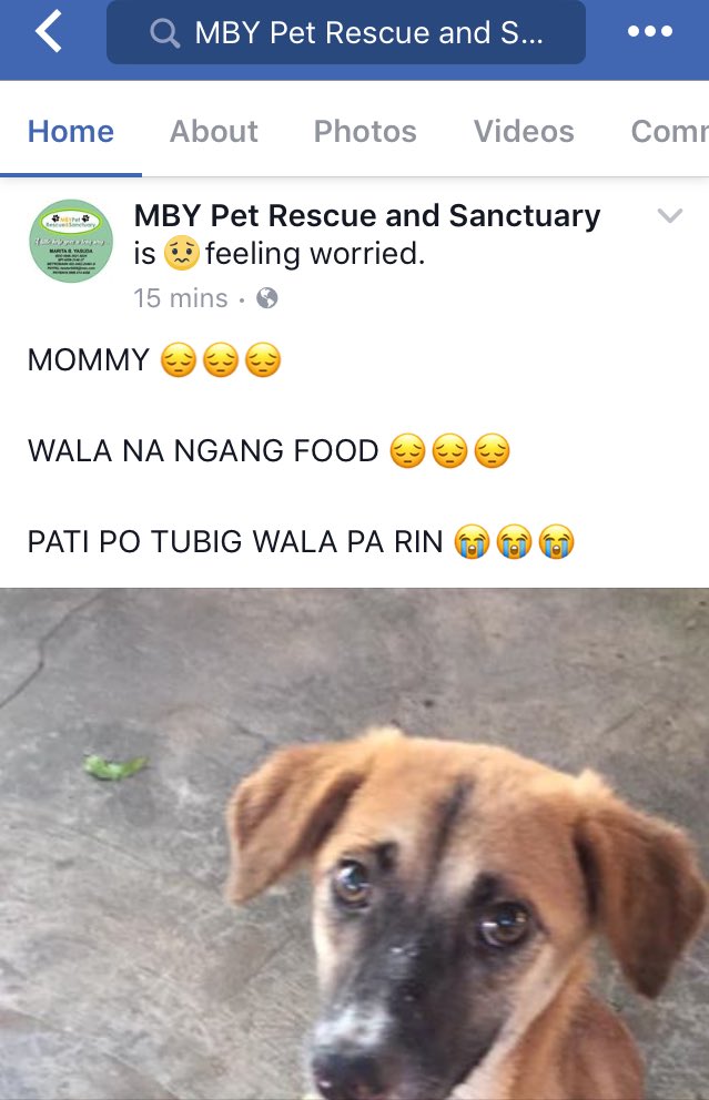 taal_animals's tweet photo. Current situation of the pets: https://t.co/AYvTqt490h