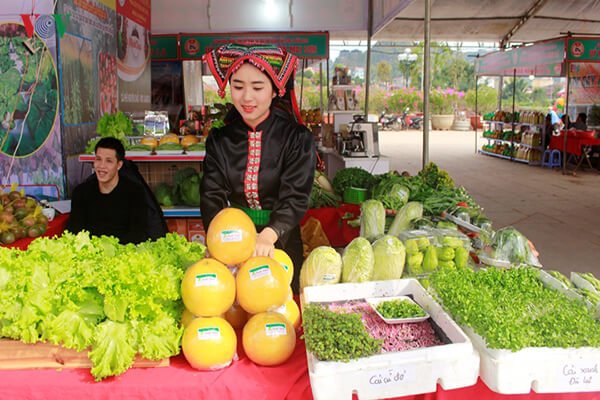hoahongtim84's tweet photo. HỘI CHỢ XUÂN KỶ HỢI SƠN LA 2019
#nhabat #chothuenhabat #chothuenhabatkhonggian #bannhabat #thuenhabat #nhabatkhonggian #sanxuatnhabat #baogianhabat #giathuenhabat #sukiennghiaphat #hoicho #xuankyhoi2019 #sonla https://t.co/xIVRarkWXR https://t.co/IdGIrVMNQg