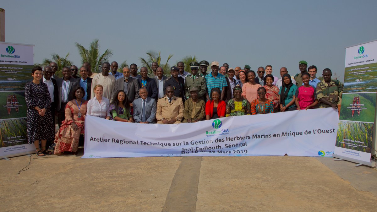 SeagrassWAfrica's tweet image. The ResilienSEA Regional Technical Workshop kicked off on Monday with the gracious presence of the Mbour prefect who officiated the opening ceremony. We&apos;re off to a great start and we look forward to the rest of the week! #keepmapping #seagrassrulez #notjustgrass 🌍