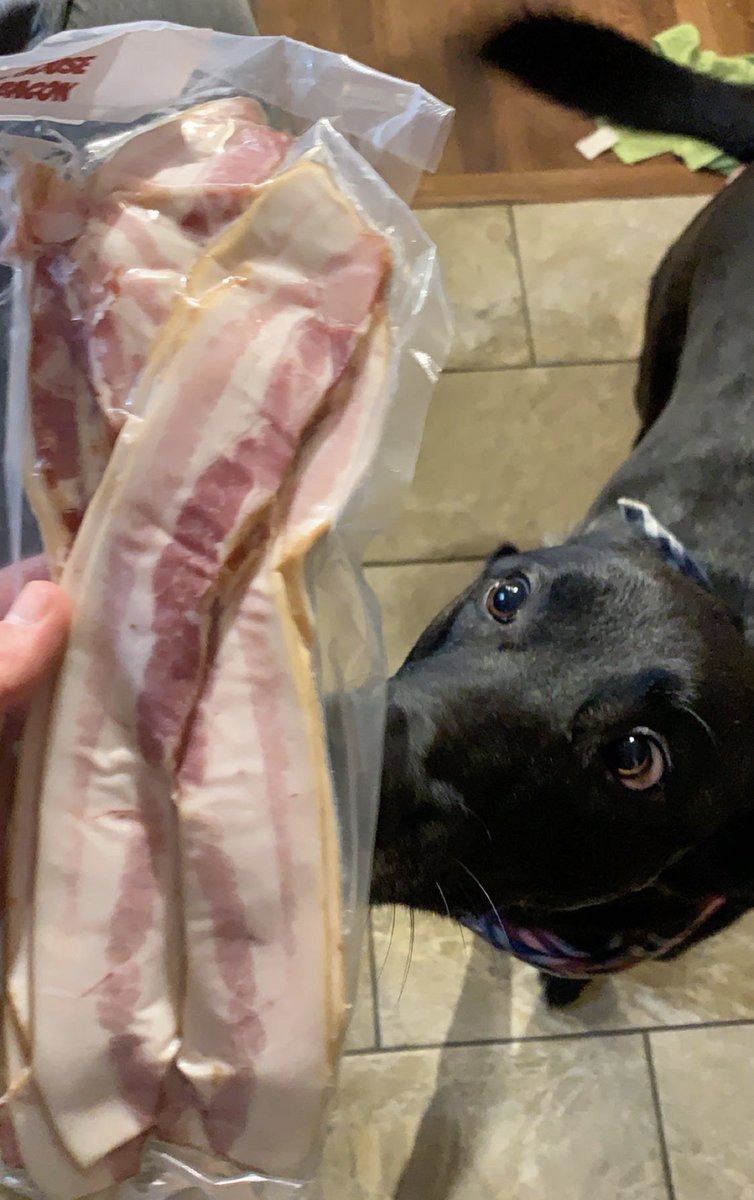 Find someone who looks at you the same way Lou looks at bacon

<a href="/CatulloMeats/">Danny Catullo</a> #OdellBaconJr