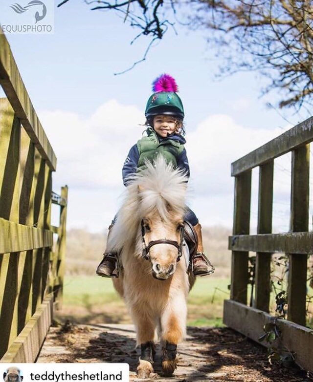 A little Shetland told us it’s officially the first day of Spring today and the International Day of Happiness!

The lighter nights and moulting coats are on their way ☀️

How will you be celebrating the start of Spring with your four-legged friends?

<a href="/EquusPhotoUK/">Emily Gailey</a> 
#equinox