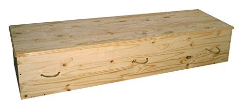 zandatoto's tweet photo. 5/ Love me now, respect me now, care for me now. Flushing money down the drain by expressing love and respect in form of an expensive casket or fancy model of hearse means nothing to me, zilch. The End. #basicfuneral https://t.co/vKM5Xo2AlP