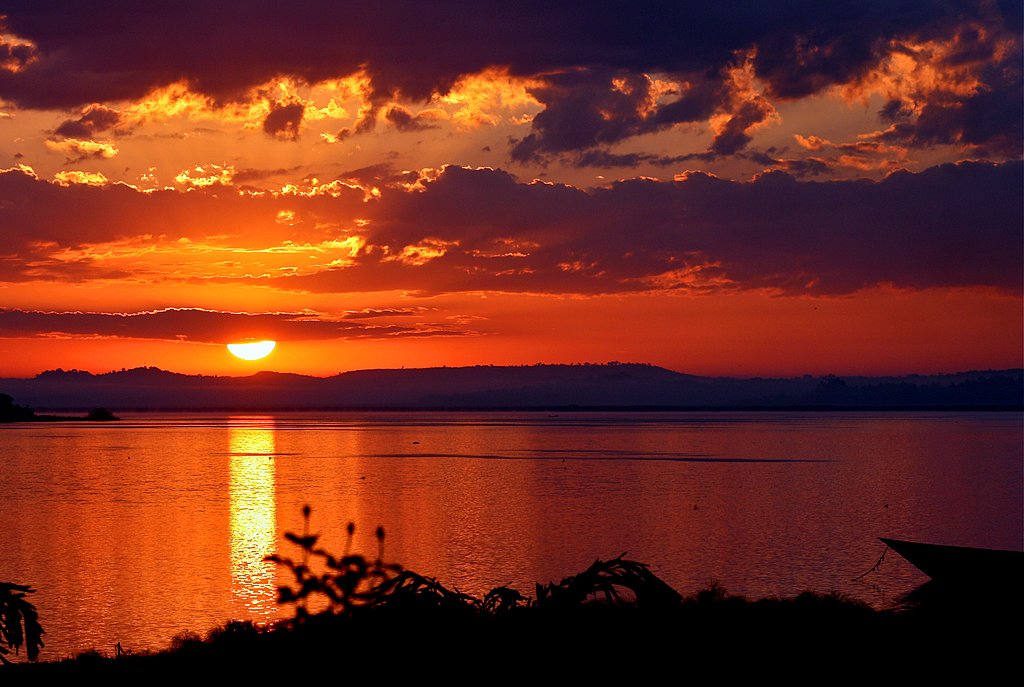 SafarisUganda's tweet photo. Beautiful sights of the Nile😍
#WorldVisit🇺🇬#BeautifulPearlOfAfrica #DiverseResources #AmazingSunSets #ProudlyUganda #Ondaba https://t.co/hhelLuXRZq