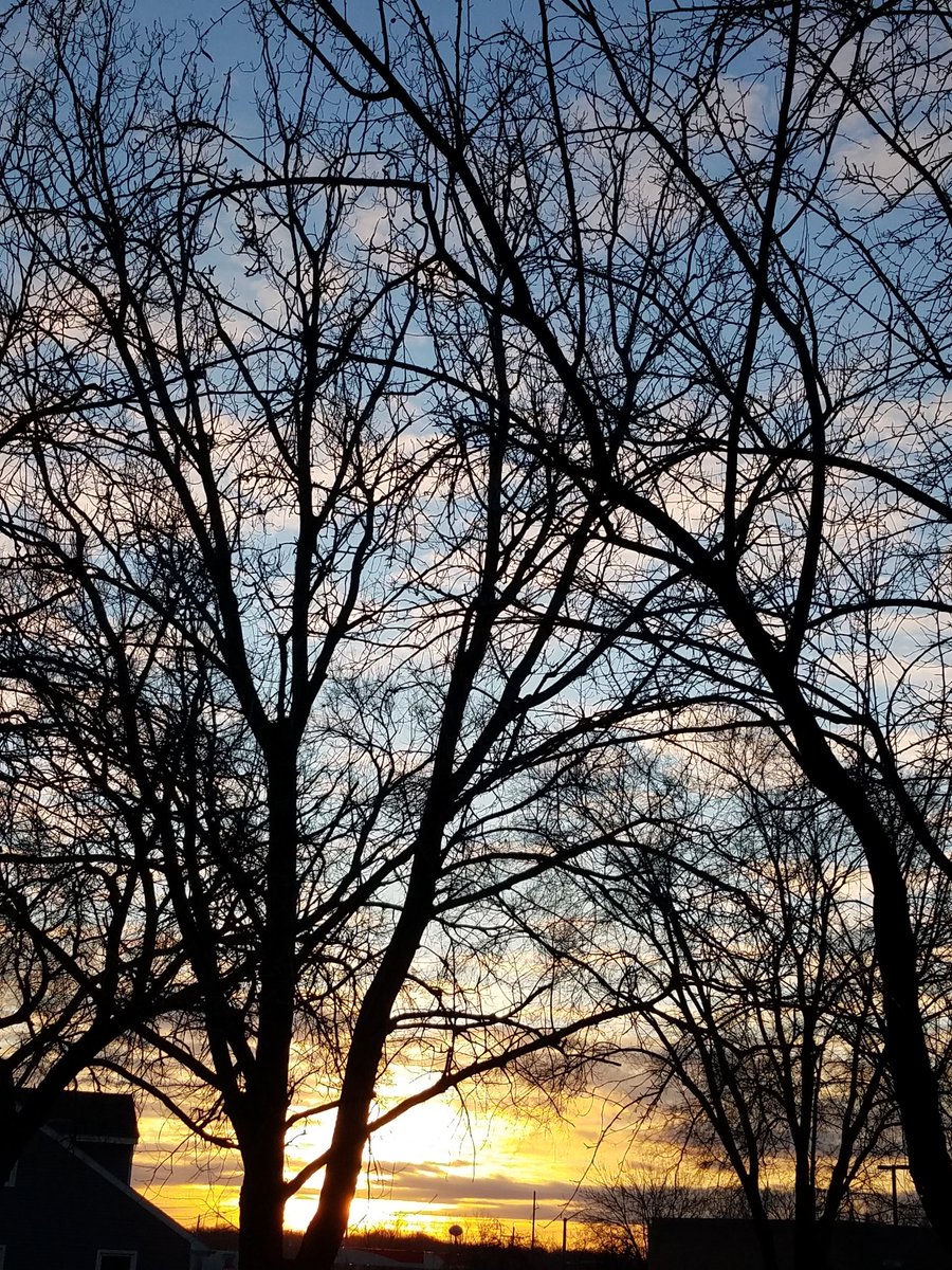 TripleCrowStudio tweet media