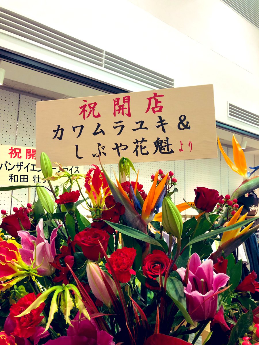 ドンレッツ Twitter Search Twitter