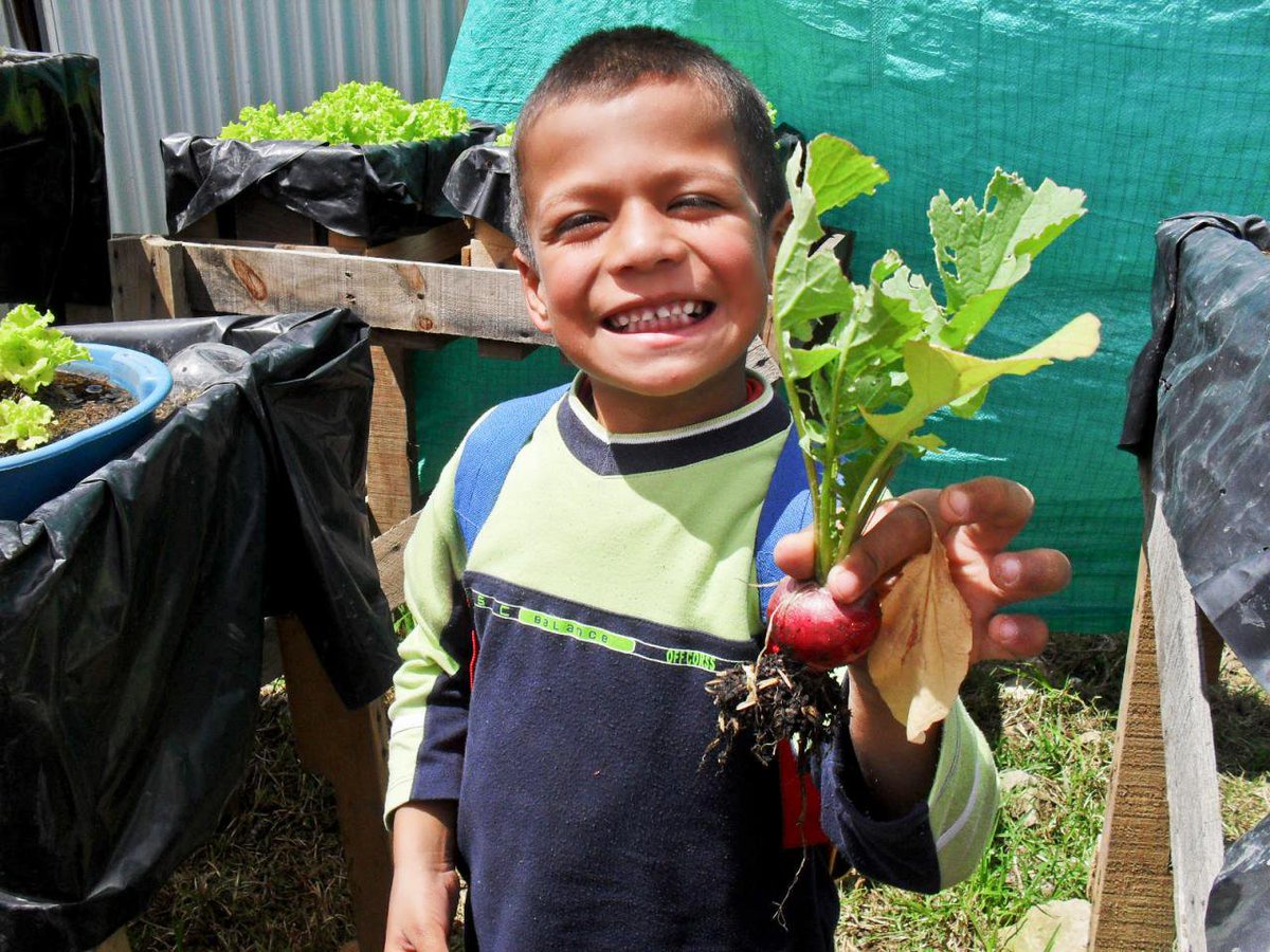 FAO's tweet photo. Today is #InternationalDayOfHappiness! 

Happiness for us means living in a 🌎 where everyone has access to enough nutritious food. 🍎🥕🥦🌽🍐

What is happiness for you? 😀

#ZeroHunger #HappinessDay https://t.co/b04mwM0KxZ