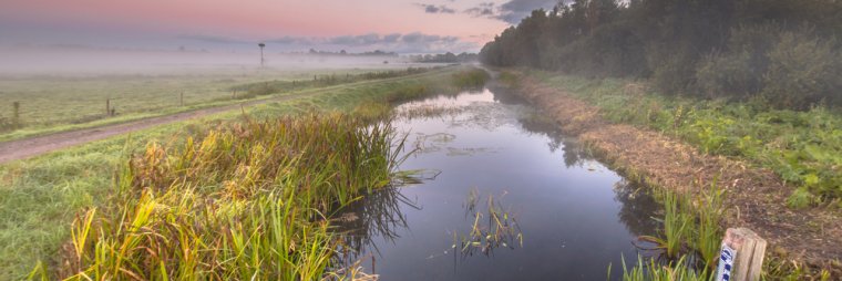 Twynstragudde's tweet photo. Waterschappen moeten meer samenwerken met andere organisaties en bewoners om Nederland voor te bereiden op het veranderende klimaat. Maar spreken zij elkaars taal? Wij testten in hoeverre Nederlanders de taal van het waterschap begrijpen. https://t.co/kvinCTn8YI https://t.co/nJL3zLnLdA